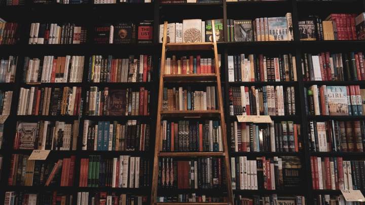 bookshelf art books blue