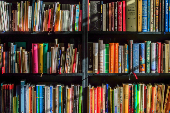 bookshelf art books blue